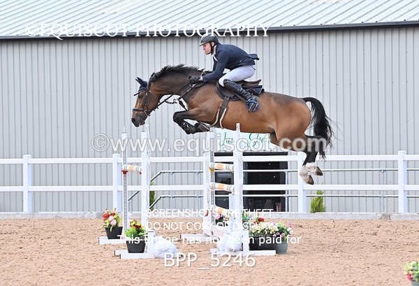 BPP_5246 - CLASS 8 THURS HOYS GFS Saddles Senior Newcomers Second Round
