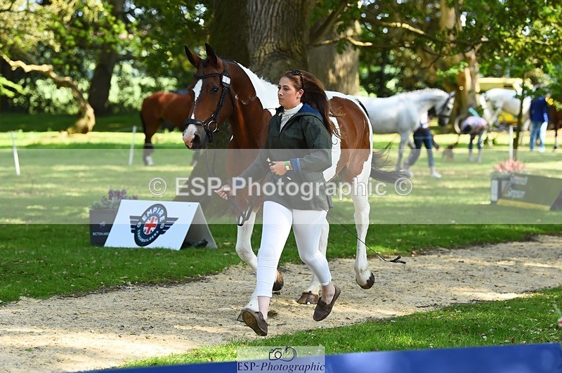 230524-163720-00982 - 107-KOLESTON_PERFECT-Torie_Sleep-WEDTrotUp+DR