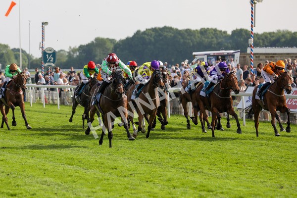 170524-Race 6-Riot-2283 - Race 6 4.45pm Yorkshire Equine Practice Handicap