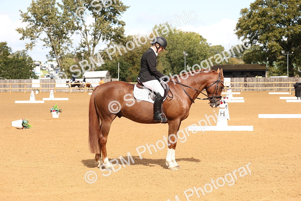 SBM_20247 - D10 - Small Tour Championship Prelim 2