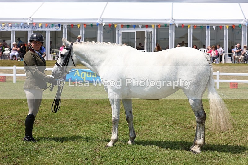 3E7A1725 - Class 9: Open Hunter