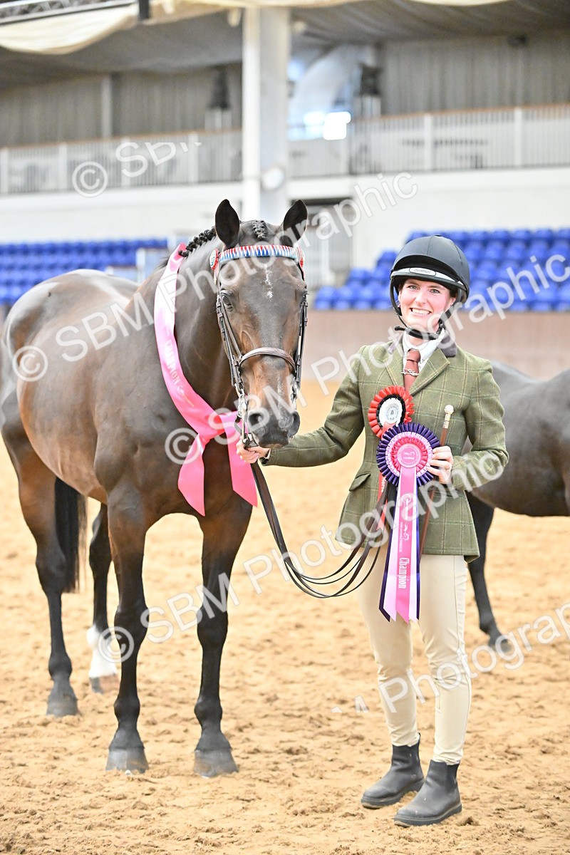 SBM_000745 - Class 14 - SSADL In Hand Championships