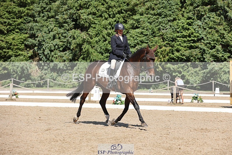 240719-155539-02990 - 237-Sue_Lanz-Wellshead_Foxtrot