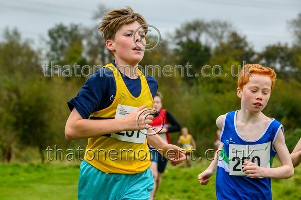 WestRLY25-911793 - Young Male Set One