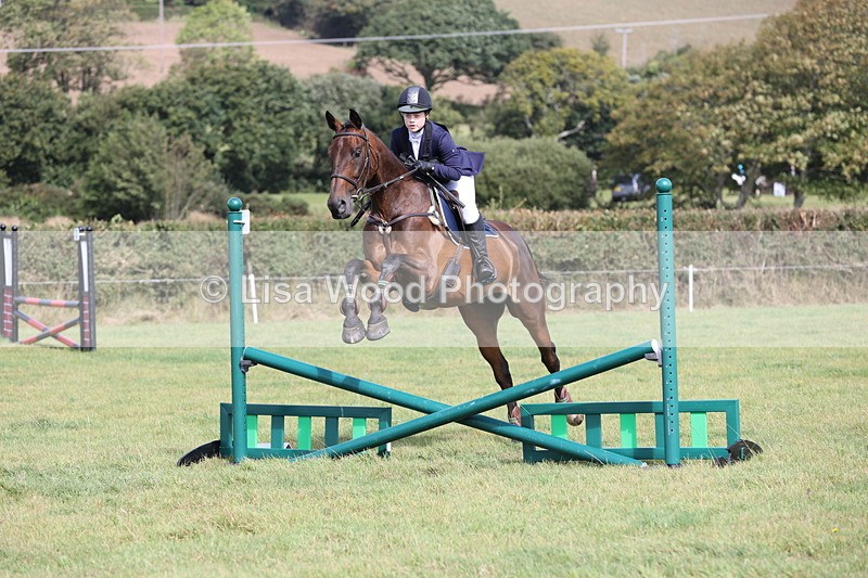 JPP_8920 - Class 2: Trekenning: 80cm Showjumping