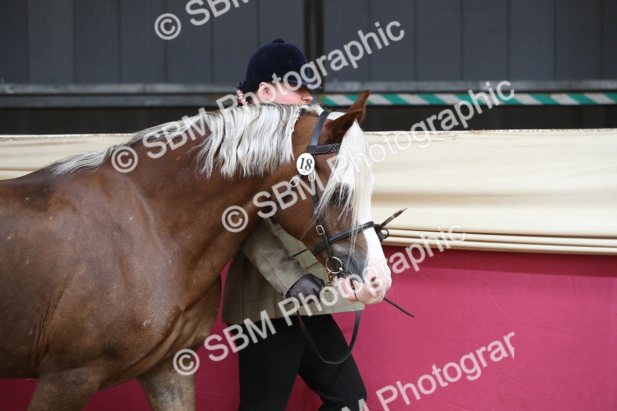 SBM_15111 - Class 501 M&M IH Supreme Final