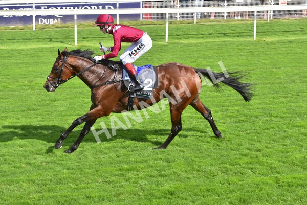 yr18082021r4-93 - Race 4 3.35pm Juddmonte International Stakes (British Champion Series race)