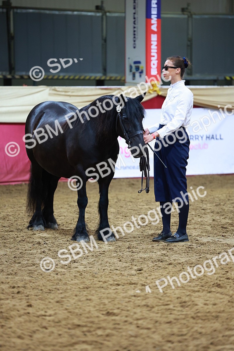 SBM_16234 - Class 901 - Sup Final - IH Diamond