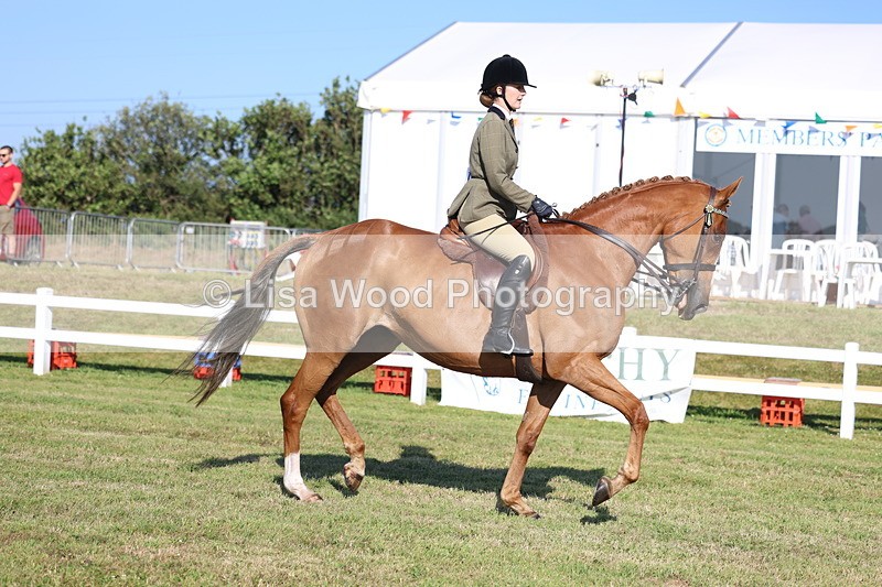 3E7A5246 - Class 2: Rising Star Large Hack/Riding Horse
