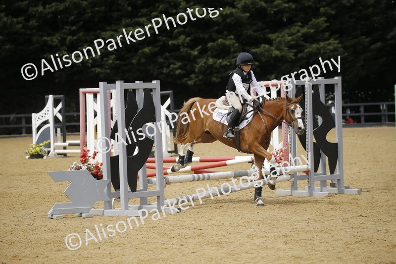 20250622-4643 - 50cm