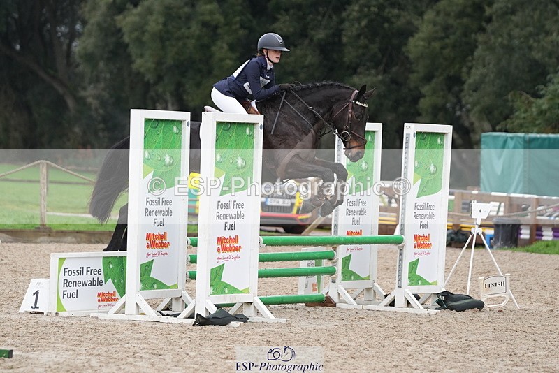 260208A-110413-01600 - 2. 80cm - 85cm