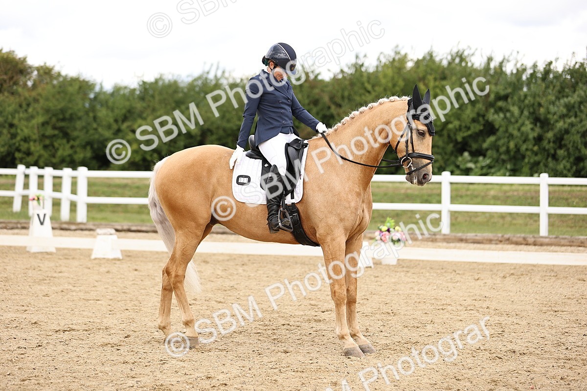 SBM_003010 - Class 2 - Novice 4 - 12.00-13.10