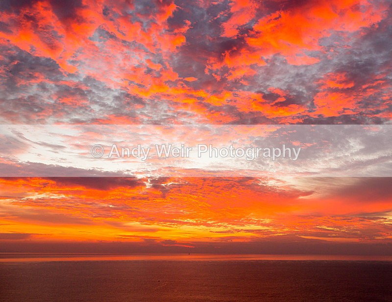 20151027-3K8A1737 - Abroad