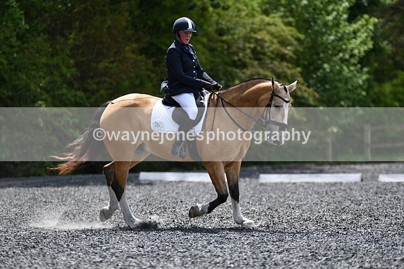 WJ5_0578 - Time 12:24 to 13:01