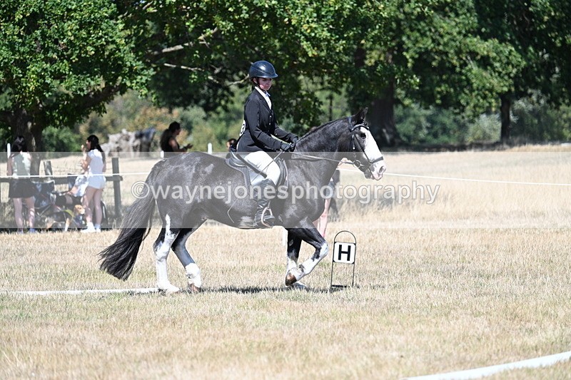 WJ7_0928 - Time 12:34 to 12:47