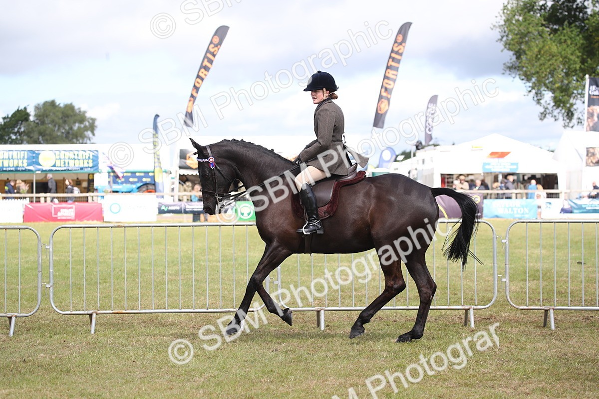 SBM_13248 - Class 95-96 - LIHS BSHA Rising Star Hack Riding Horse