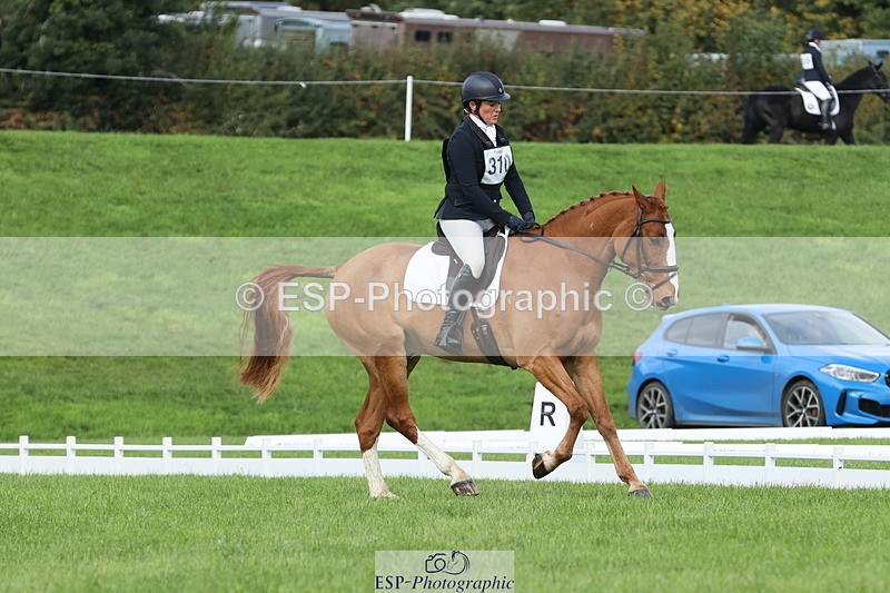 251023A-105059-03247 - D-310-Emily.R.Vincent