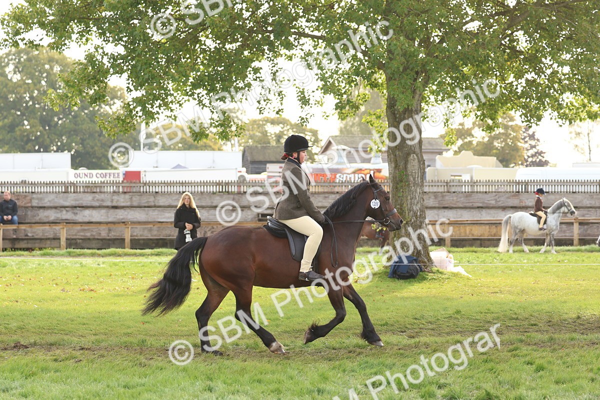 SBM_56593 - S40 - Starters Ridden Showing