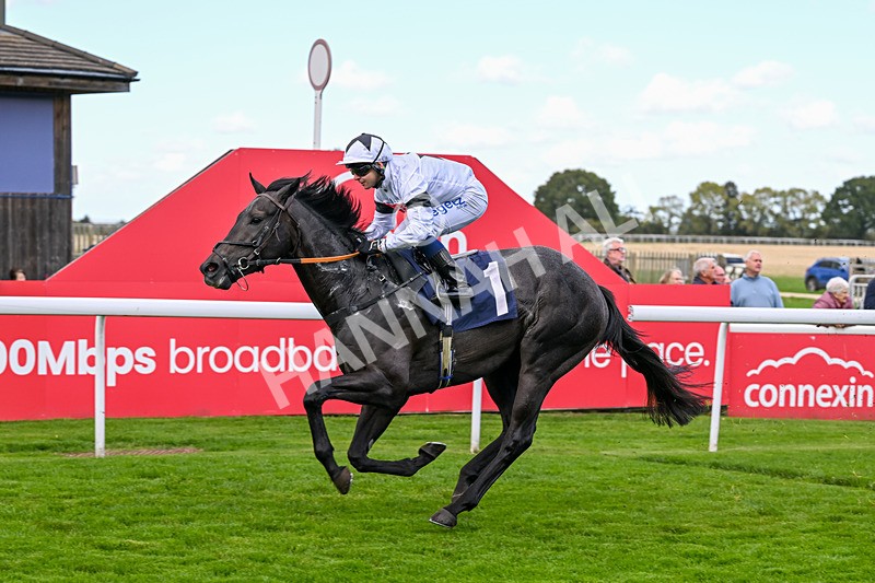 230925-Race 2-Ironwill-0145 - Race 2