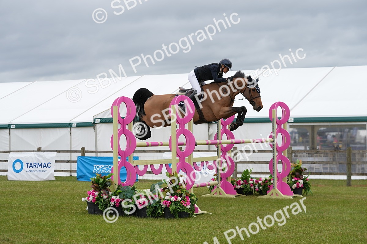 SBM_03390 - Class 201 - British Horse Feeds Speedi Beet Horse of the Year Show Grade  C