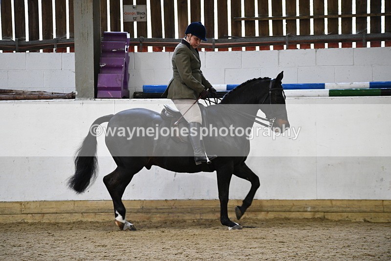 WJ5_6113 - Class 9 Ridden Veteran