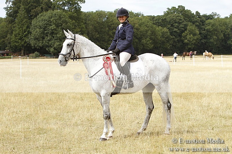 _BS_1030 - Working Hunter Championship BVRC Show 2018