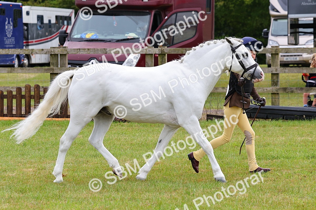 SBM_09610 - Class 44-45 - LIHS BSPS Open Nursery and Cradle Stakes