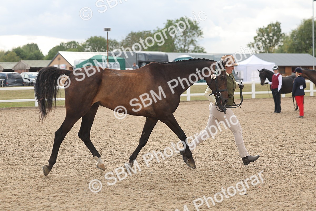 SBM_06887 - Class 25 - IH Foreign Breeds - Purebred