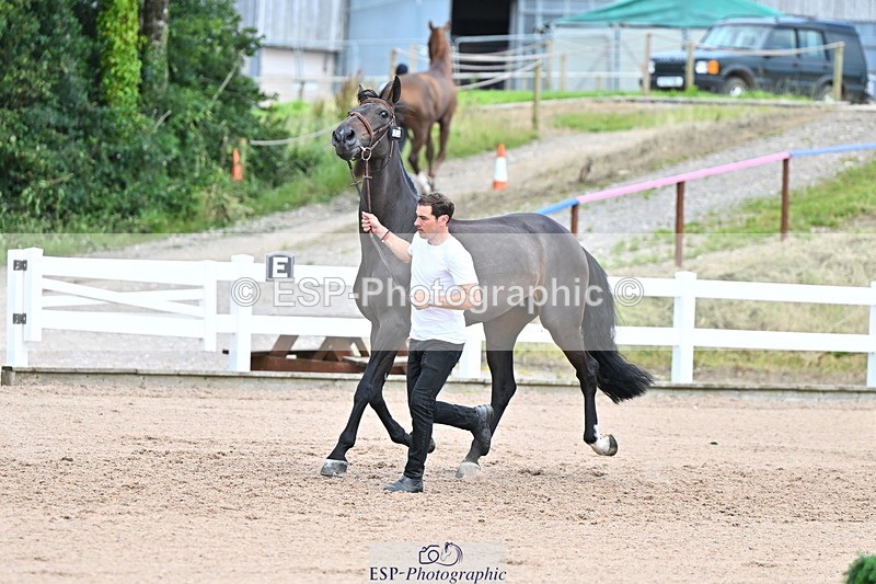 240718A-105322-01912 - Trot Up 2pm to 3pm - This folder is not in time order