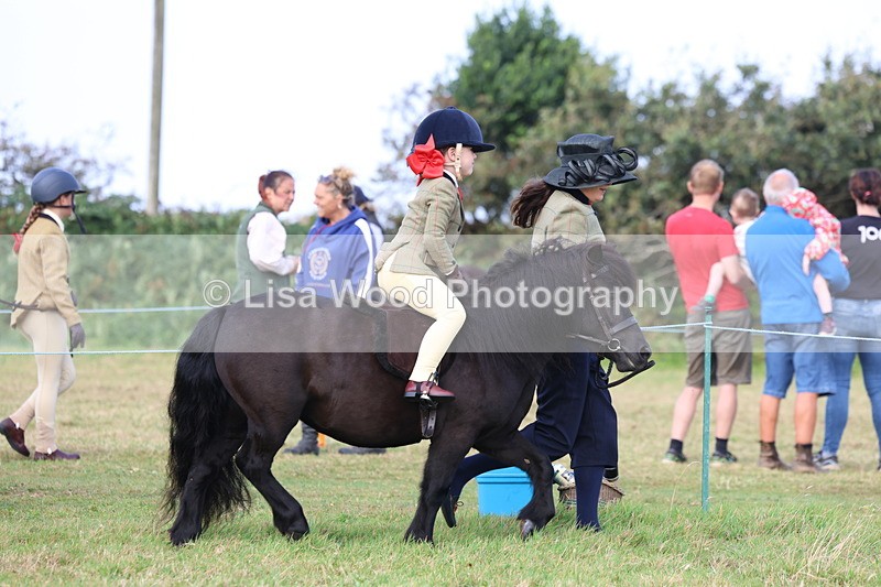 3E7A3517 - Class 2: Lead rein