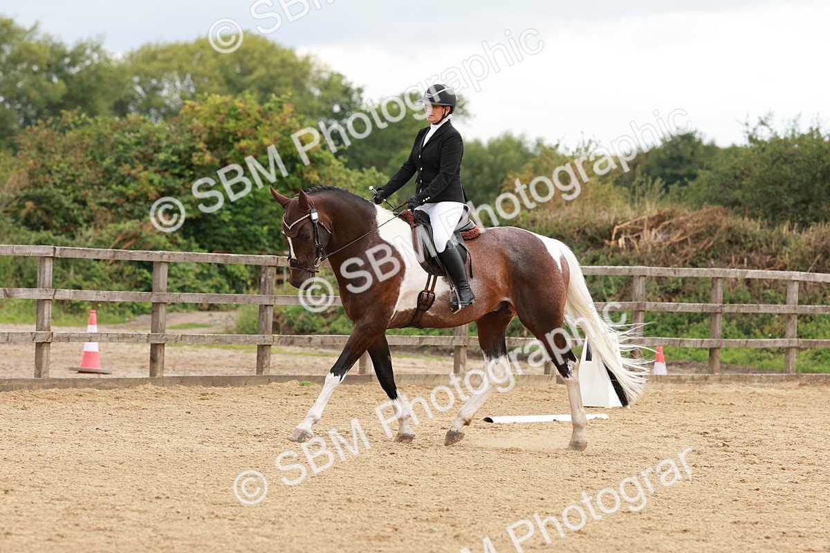 SBM_002743 - Novice 2