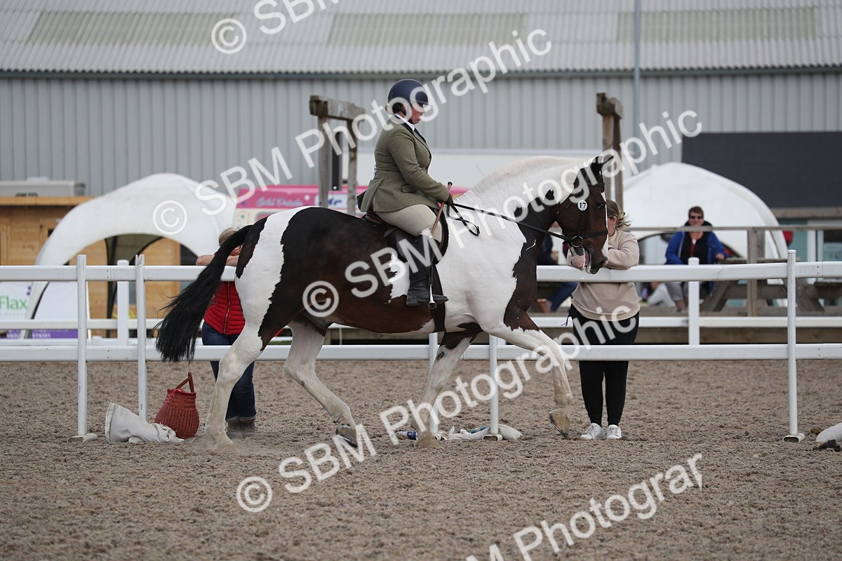SBM_17377 - Class 315 Best Horse/Rider Combination