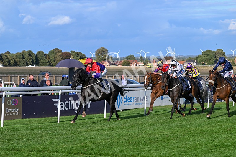 240924-Race 7-It Just Takes Time-6922 - Race 7