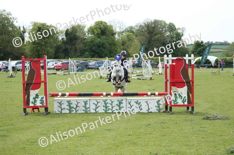 20260426-2114 - Class 15 - Absolute Novice 70cm