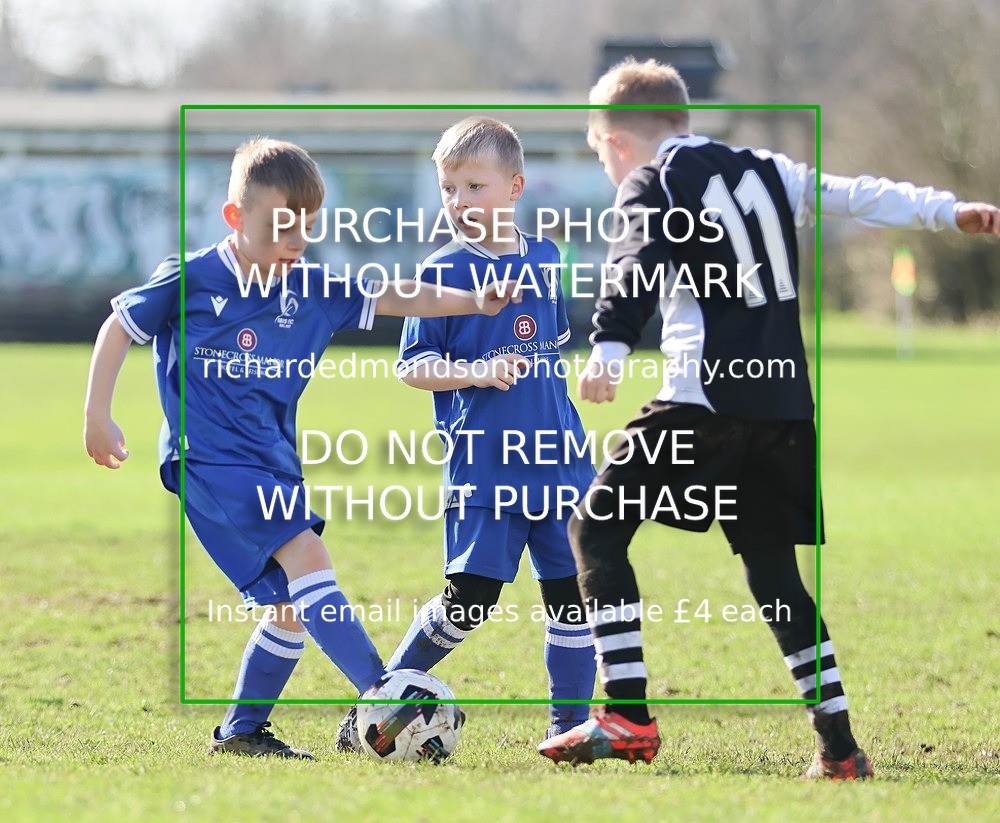 533A7884 - Ibis Under 8's (14/3/26)