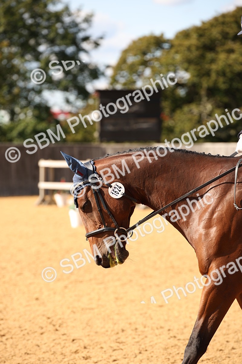 SBM_28150 - D11 - Small Tour Championship - Prelim 13