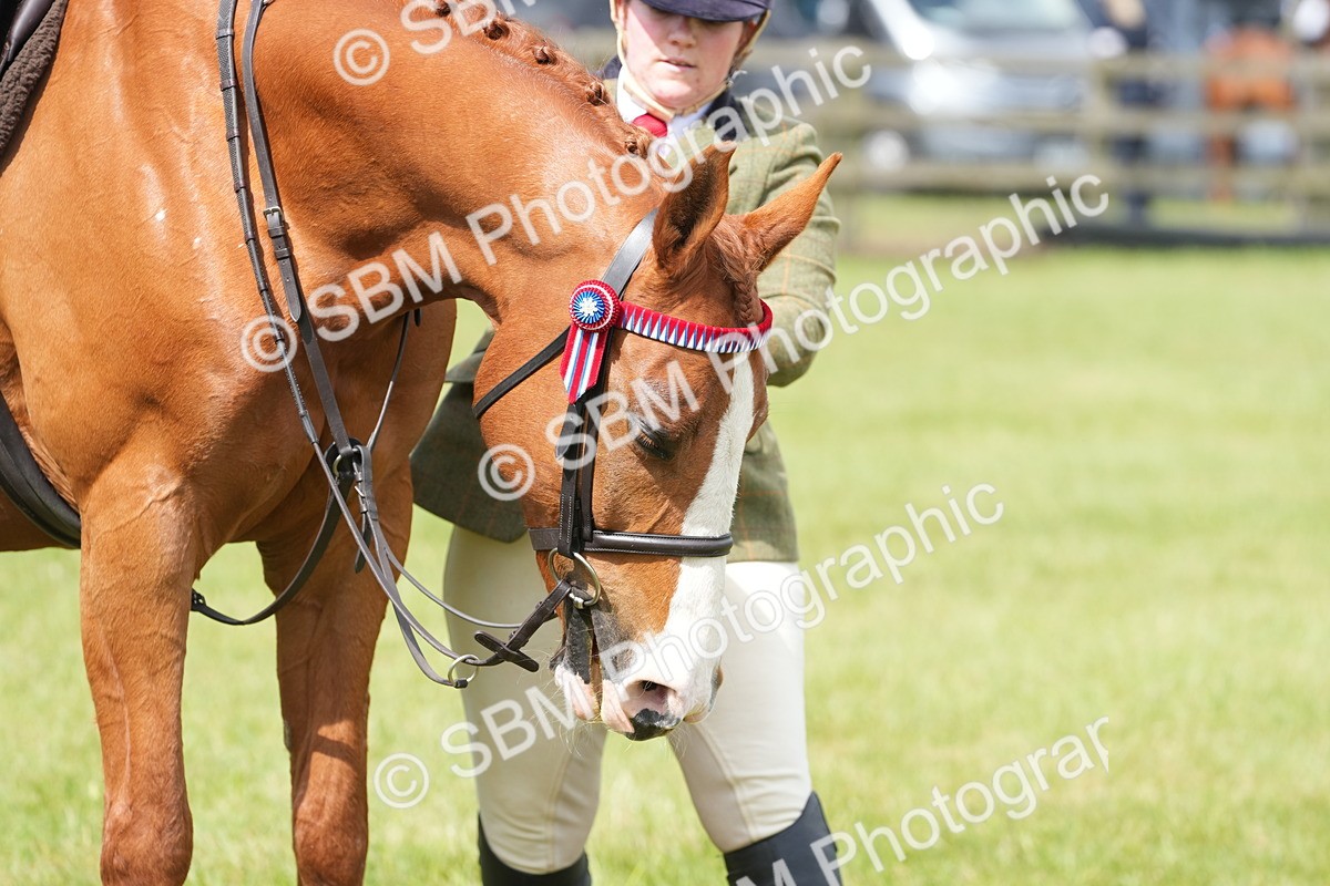 SBM_12932 - Class 99 - RIHS SEIB Working Show Horse