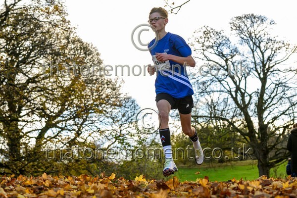 NatRel25-914478 - Young Male Set Two