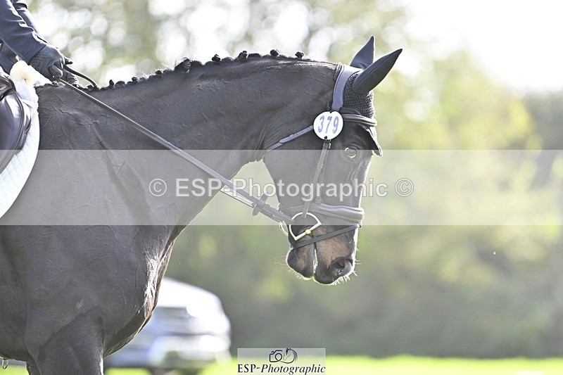 241025-133501-09488 - 379-Vikki.Maddox-GOGETTHAT