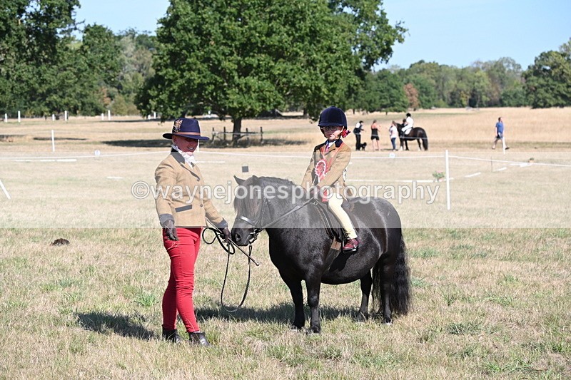 WJ6_7654 - Class 34 Judges Choice