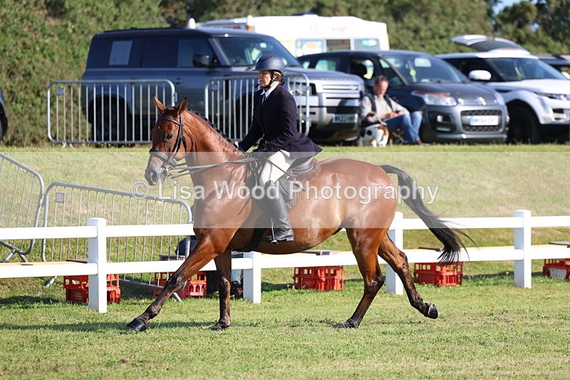 3E7A5407 - Class 2: Rising Star Large Hack/Riding Horse
