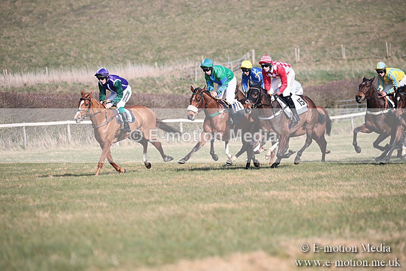 PtP 230219 222 - Vine & Craven Point-To-Point - Barbury 23/02/19