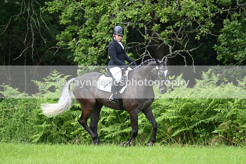 WJ7_2029 - Class 12A Coloured Class