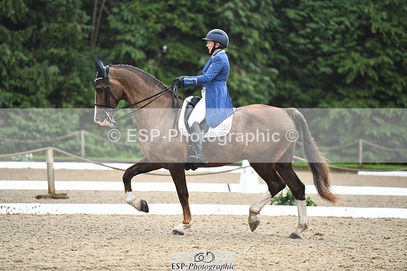 240720-160015-06329 - 142-Amberley_Pugsley-Hero_A