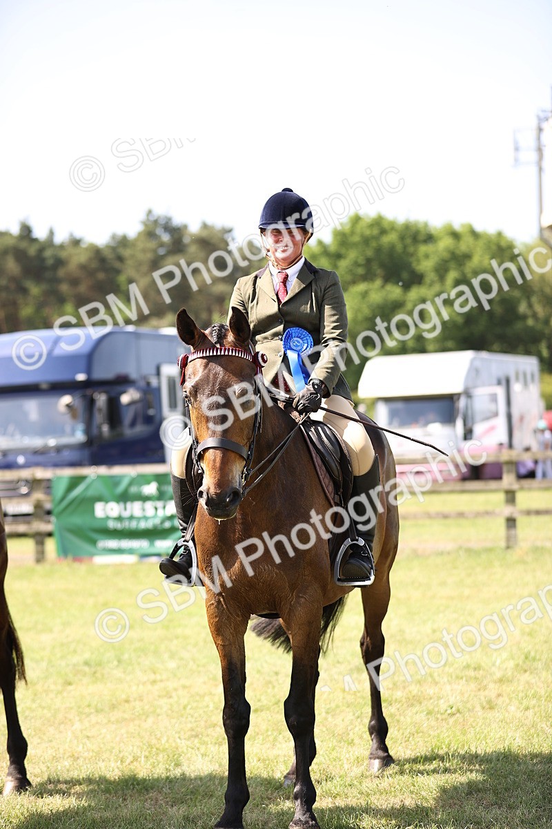 SBM_13044 - Class 75-76 LIHS BSHA Rising Star Hack Riding Horse