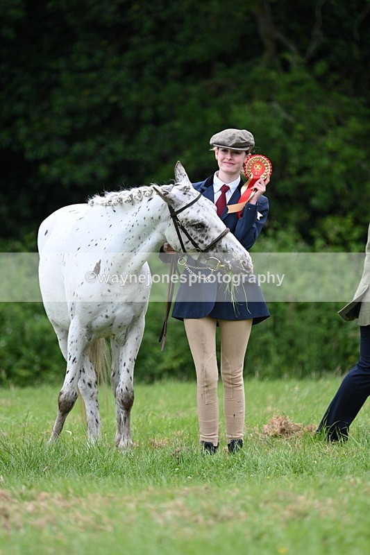 WJ7_4529 - Class 14B Prettiest Mare