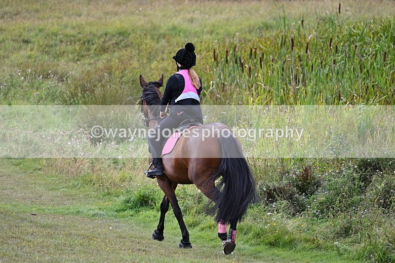 WJ7_6088 - Time 11:50 to 12:09