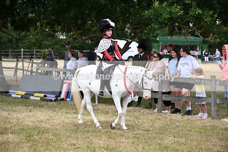 WJ6_4614 - Class 11 Fancy Dress