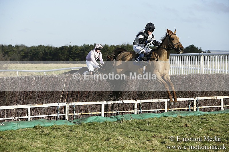 PtP 070118 -67 - Larkhill Racing Club Point to Point Larkhill 07/01/2018