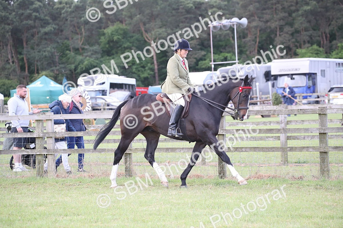 SBM_14147 - Class 113-114 - Retraining of Racehorses Ridden